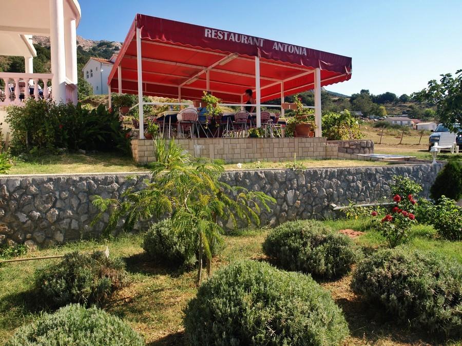 Pension Antonia Jurandvor المظهر الخارجي الصورة
